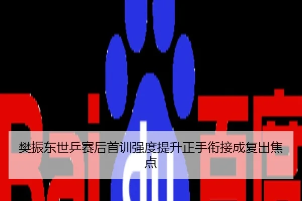 樊振东世乒赛后首训强度提升正手衔接成复出焦点