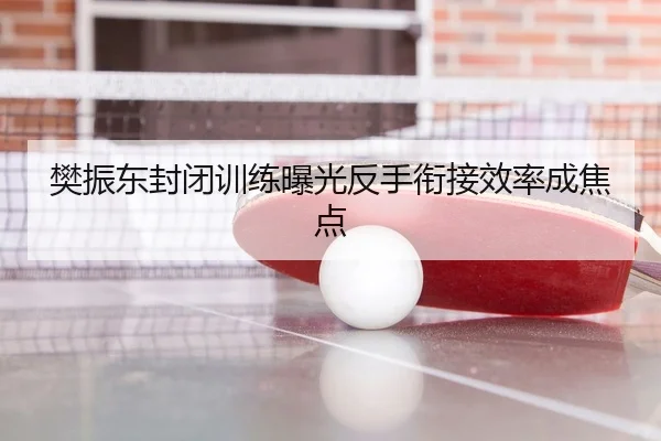 樊振东封闭训练曝光反手衔接效率成焦点