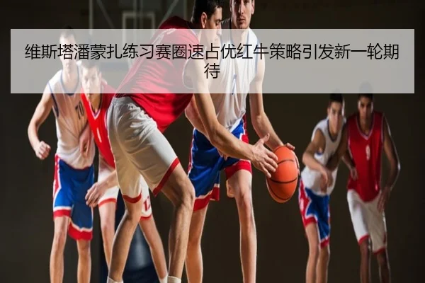维斯塔潘蒙扎练习赛圈速占优红牛策略引发新一轮期待