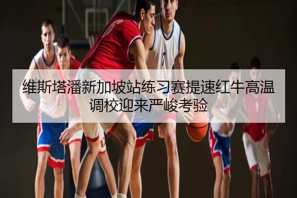 维斯塔潘新加坡站练习赛提速红牛高温调校迎来严峻考验